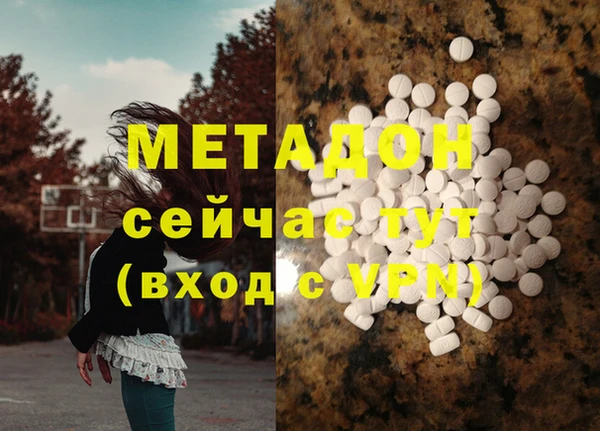 индика Надым