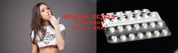 индика Надым