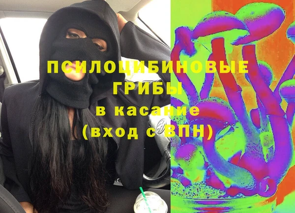 твердый Михайловка