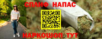 ECSTASY Гатчина