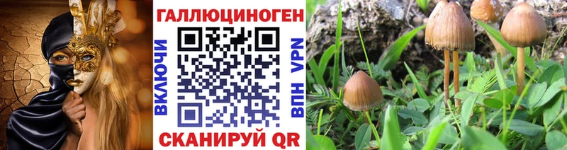 как найти закладки  даркнет какой сайт  Галлюциногенные грибы мухоморы  Дмитров  ОМГ ОМГ рабочий сайт 