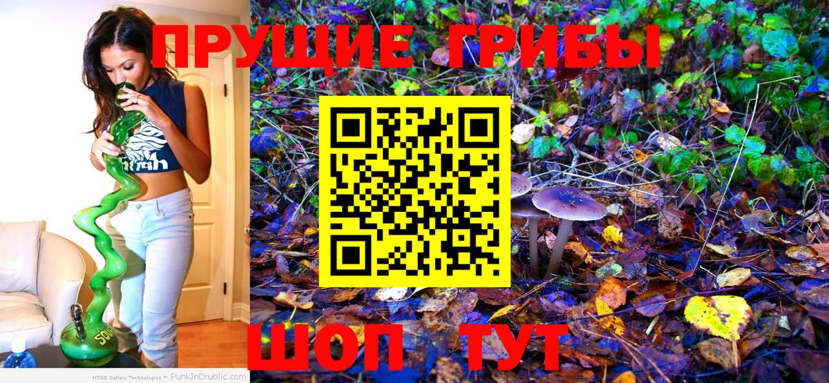 Псилоцибиновые грибы мухоморы Дмитров