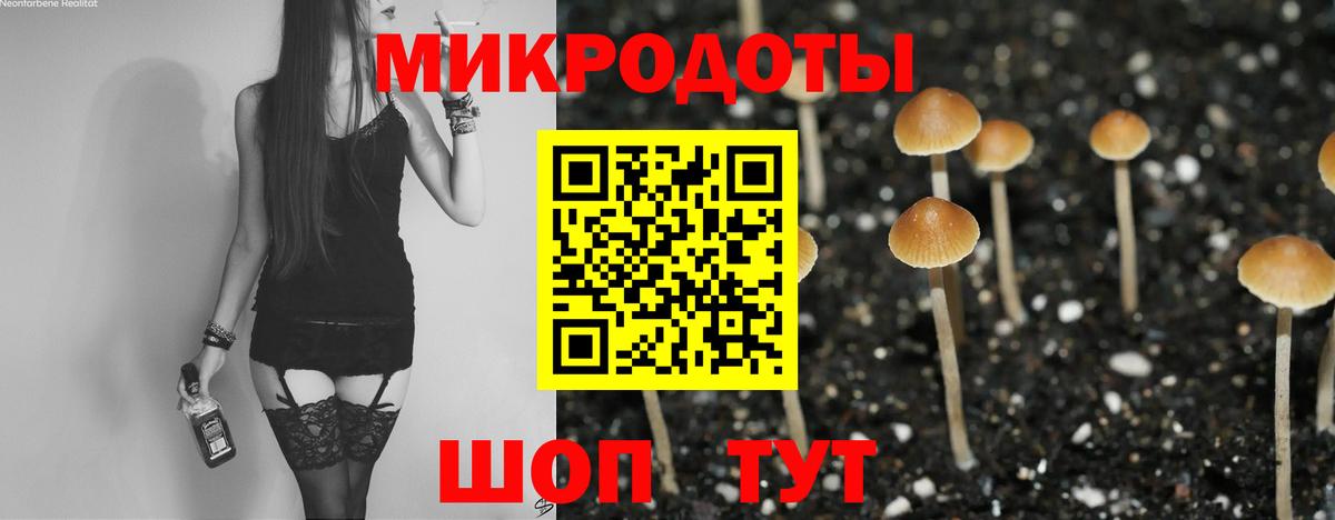 Псилоцибиновые грибы MAGIC MUSHROOMS  Вход с VPN  Псилоцибиновые грибы Psilocybe  Дмитров 