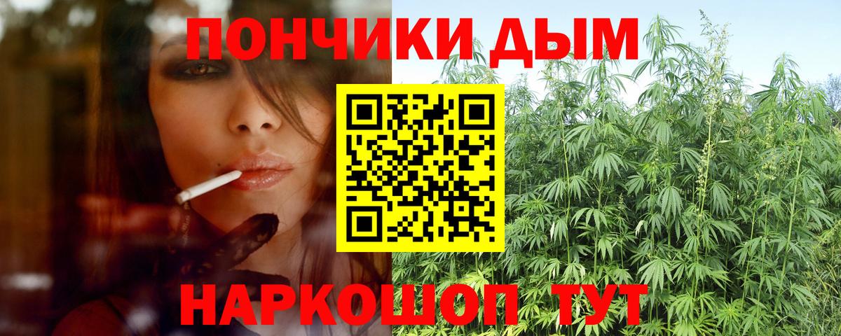 Бошки марихуана тримм  Вход с VPN  Бошки Шишки марихуана  Канабис сатива  Дмитров 